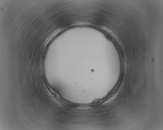 X0000078241129200612011558