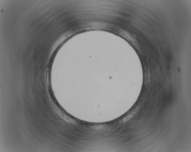 X0000078241130200612011558