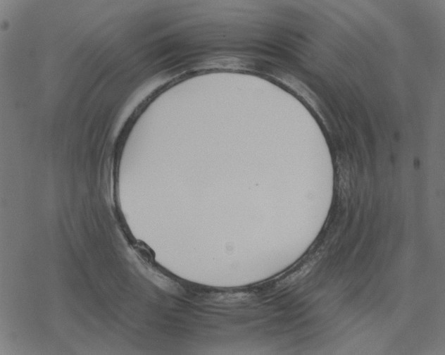 X0000078241131200612011558