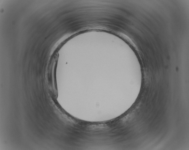 X0000078241133200612011558