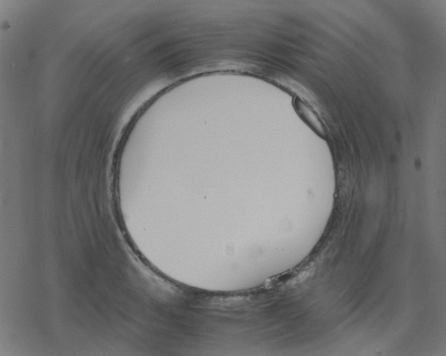 X0000078241135200612011558