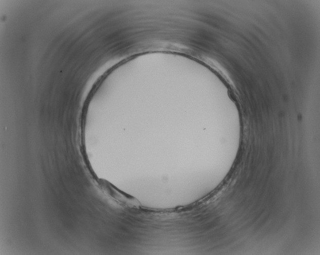 X0000078241136200612011558