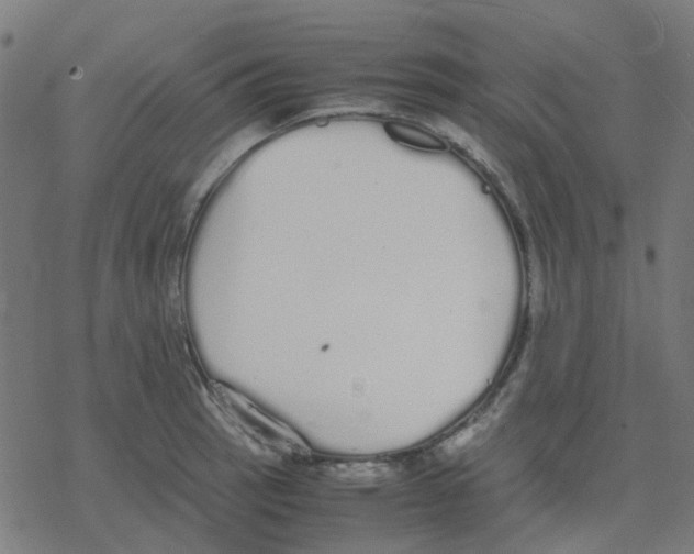 X0000078241137200612011558