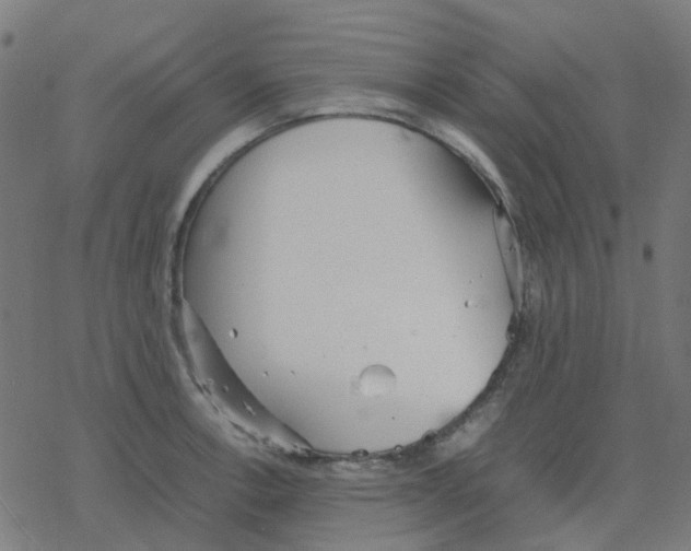 X0000078241138200612011558