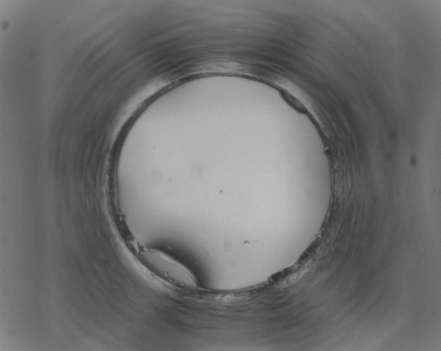 X0000078241139200612011558