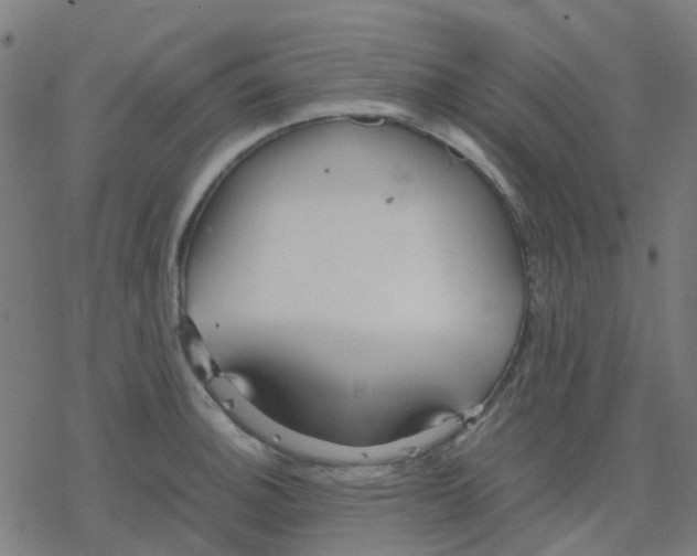 X0000078241140200612011558