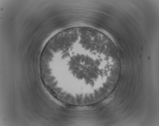 X0000078241142200612011558