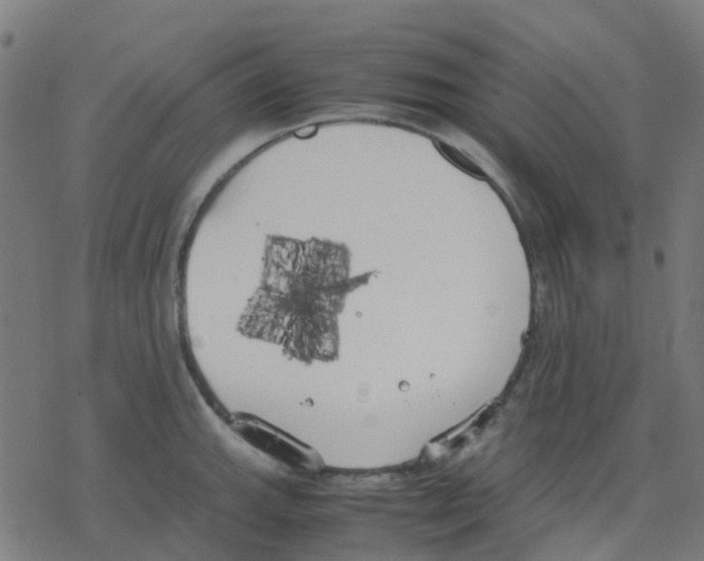 X0000078241143200612011558