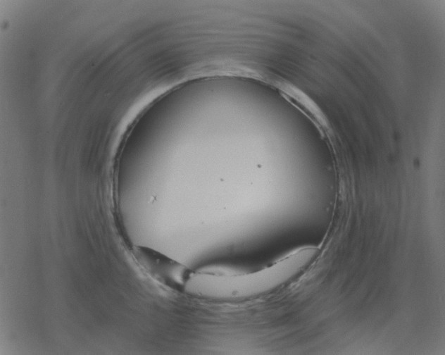 X0000078241144200612011558