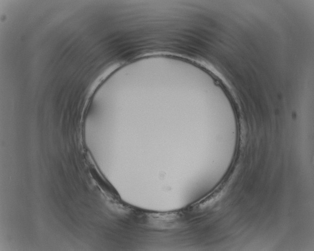 X0000078241145200612011558