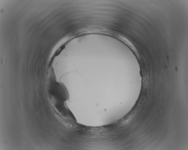 X0000078241146200612011558