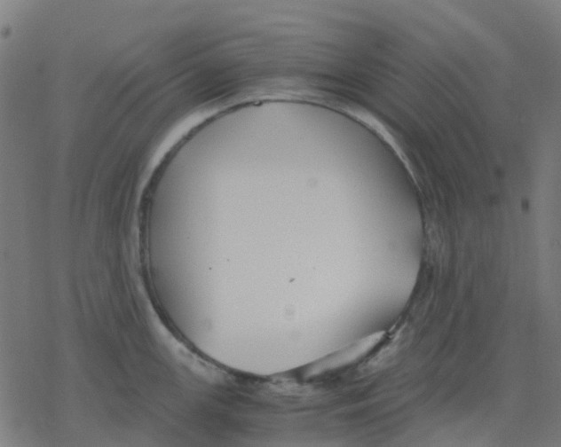 X0000078241147200612011558