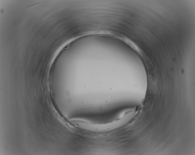 X0000078241148200612011558