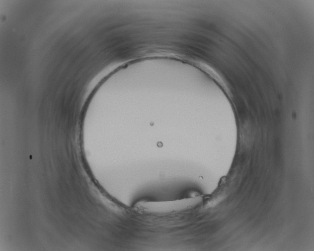 X0000078241149200612011558