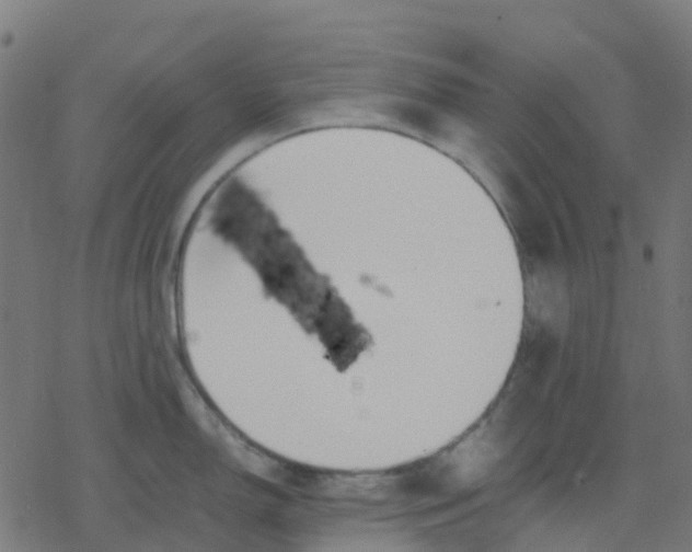 X0000078241150200612011558