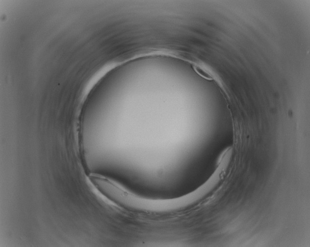 X0000078241151200612011558