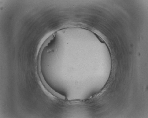 X0000078241152200612011558