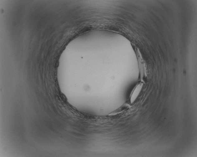 X0000078241153200612011557