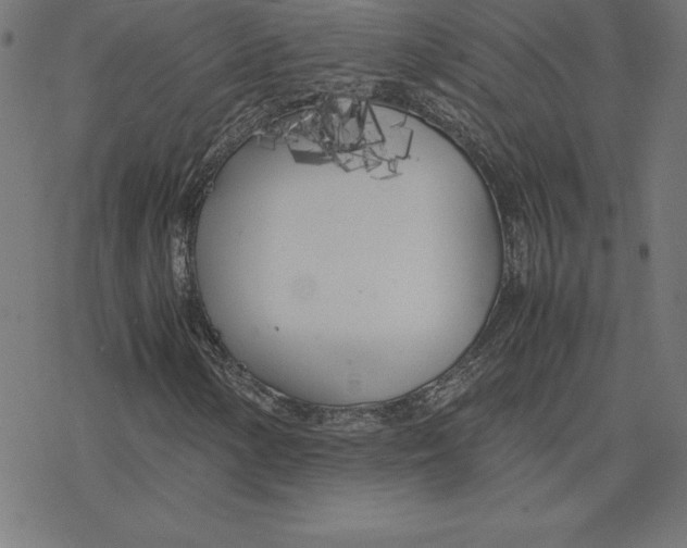 X0000078241154200612011557