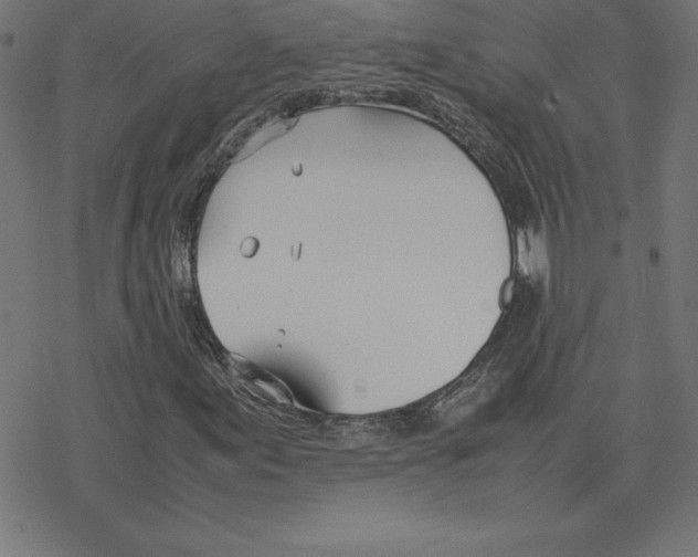 X0000078241155200612011557