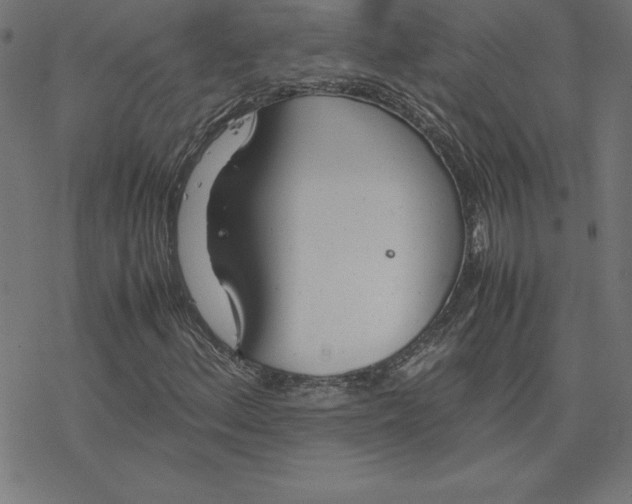 X0000078241156200612011557