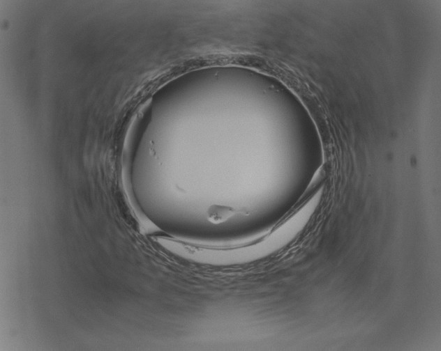 X0000078241157200612011557