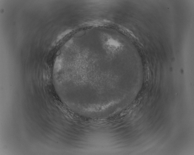 X0000078241158200612011557