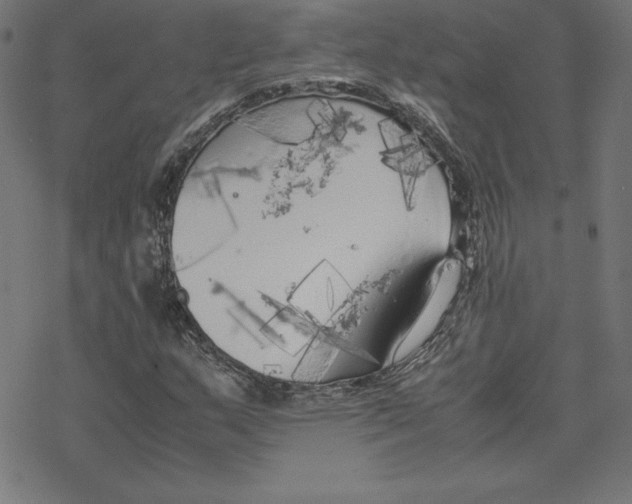 X0000078241159200612011557