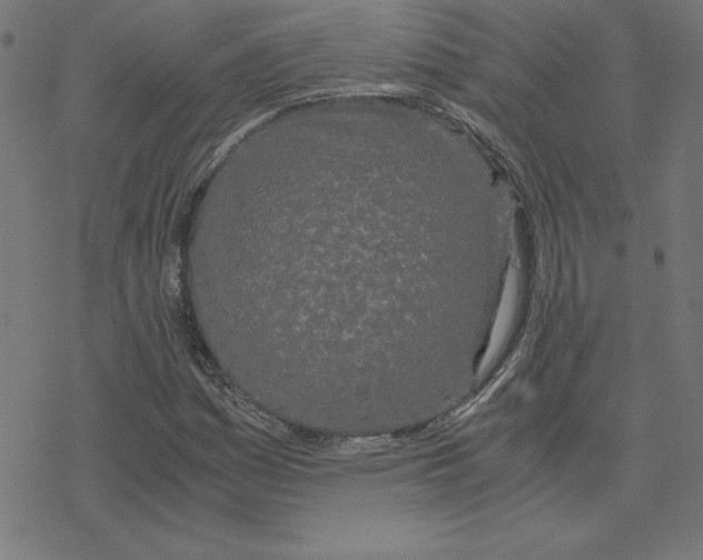 X0000078241161200612011557