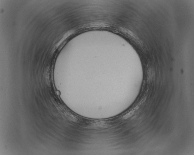 X0000078241162200612011557