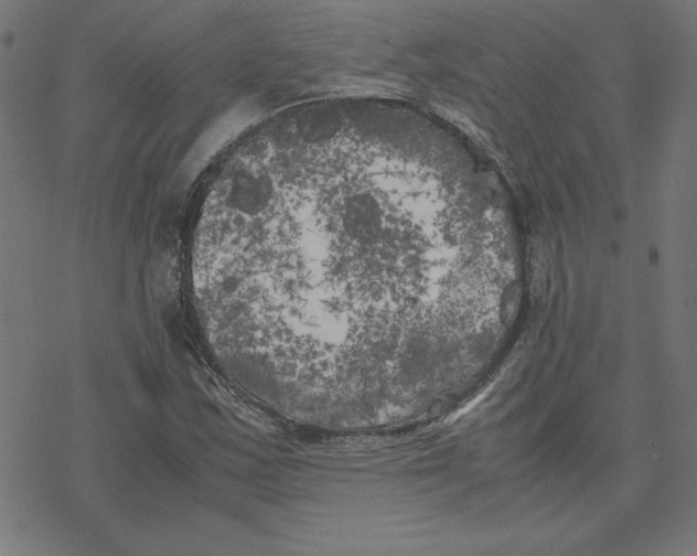 X0000078241163200612011557