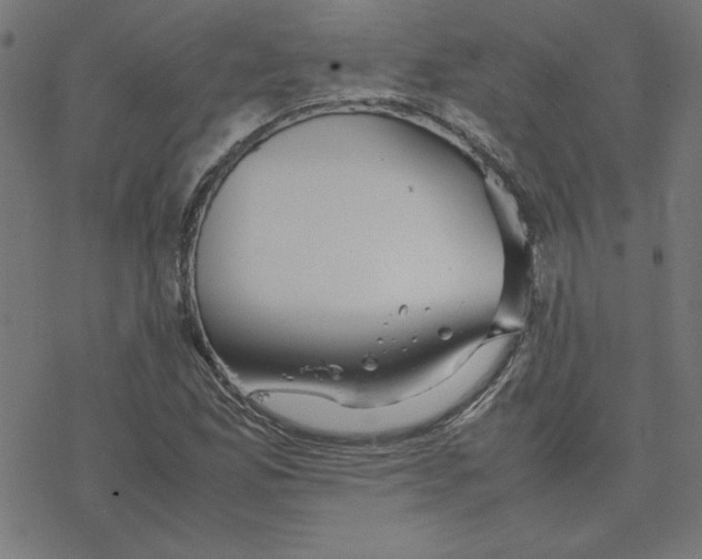 X0000078241165200612011557