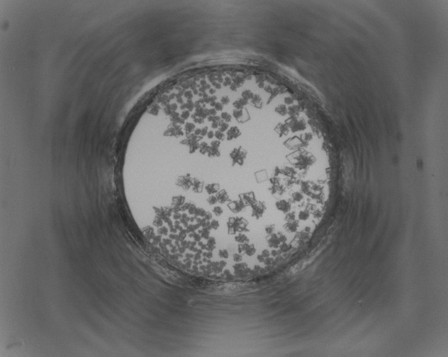 X0000078241166200612011557