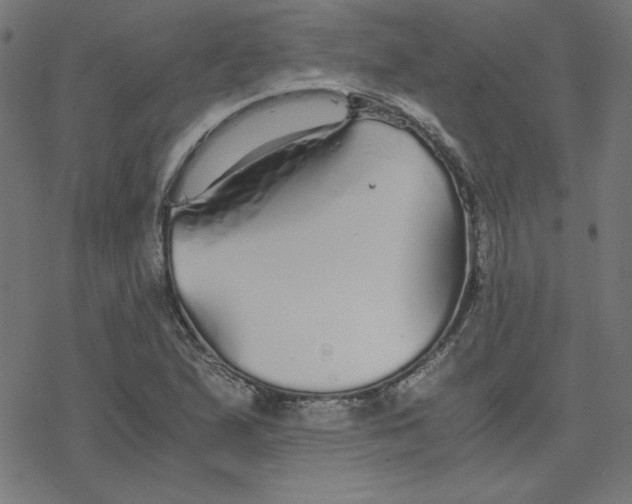 X0000078241167200612011557