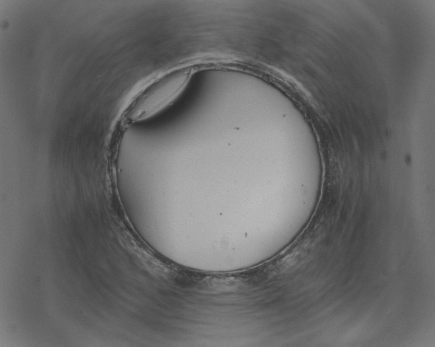 X0000078241168200612011557