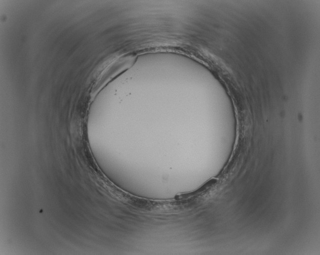 X0000078241169200612011557