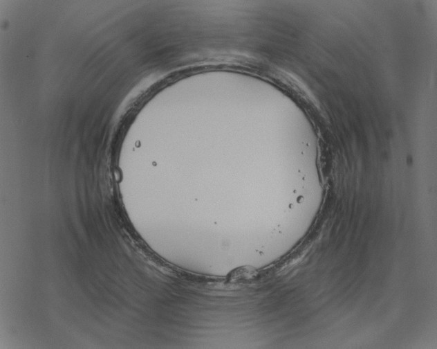 X0000078241172200612011557