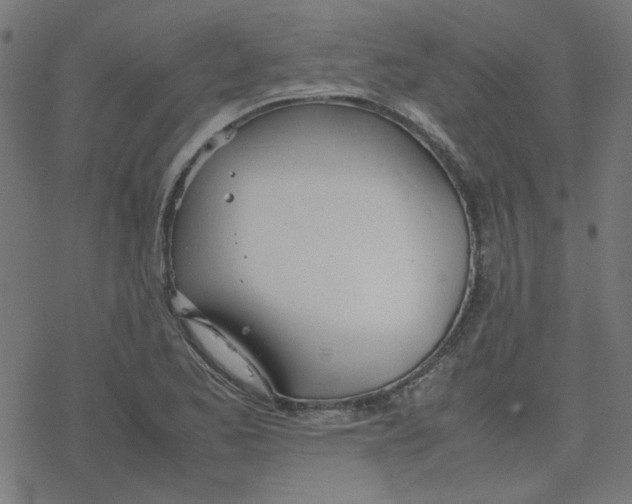 X0000078241173200612011557