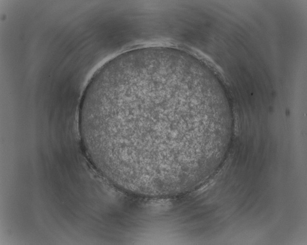 X0000078241174200612011557