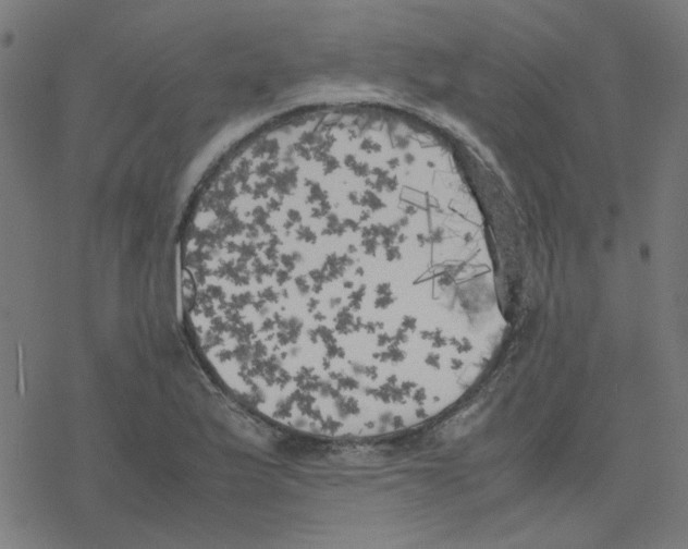 X0000078241175200612011557