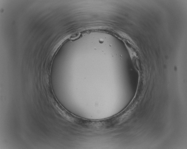 X0000078241177200612011557