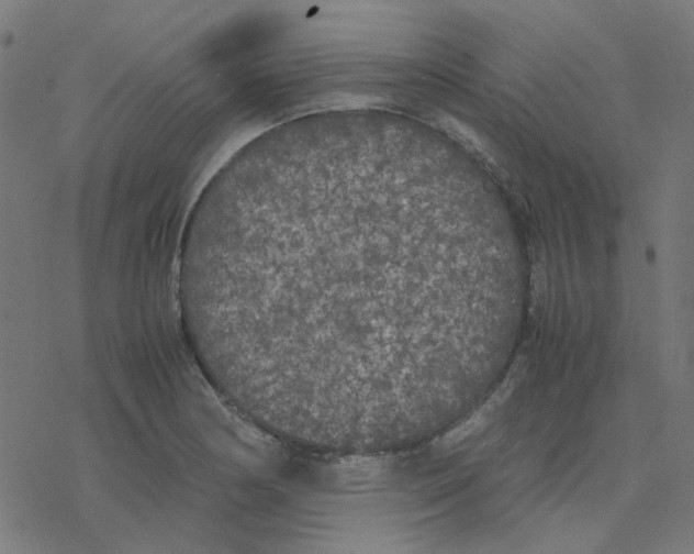 X0000078241178200612011557