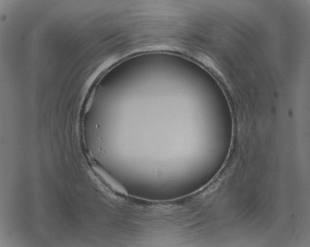 X0000078241181200612011557