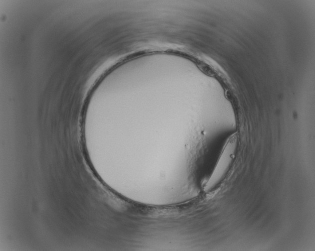 X0000078241183200612011557