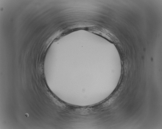 X0000078241185200612011557