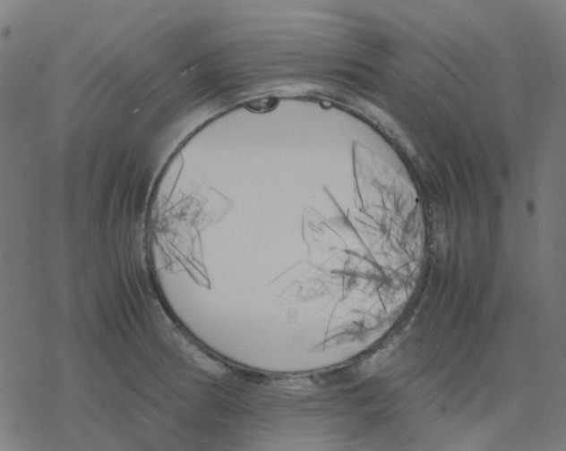 X0000078241186200612011557