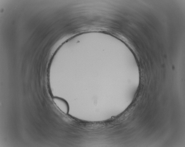 X0000078241187200612011557