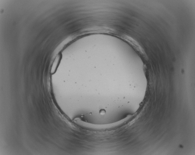 X0000078241188200612011557