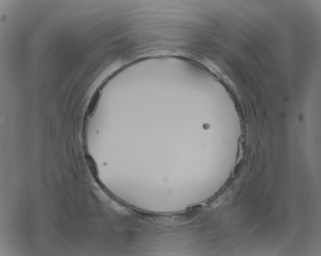 X0000078241189200612011557