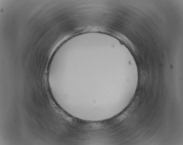 X0000078241190200612011557